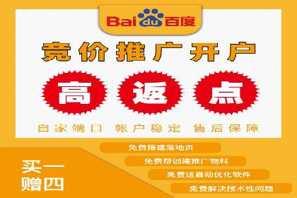案例解析：SEM托管助力电商销售增长
